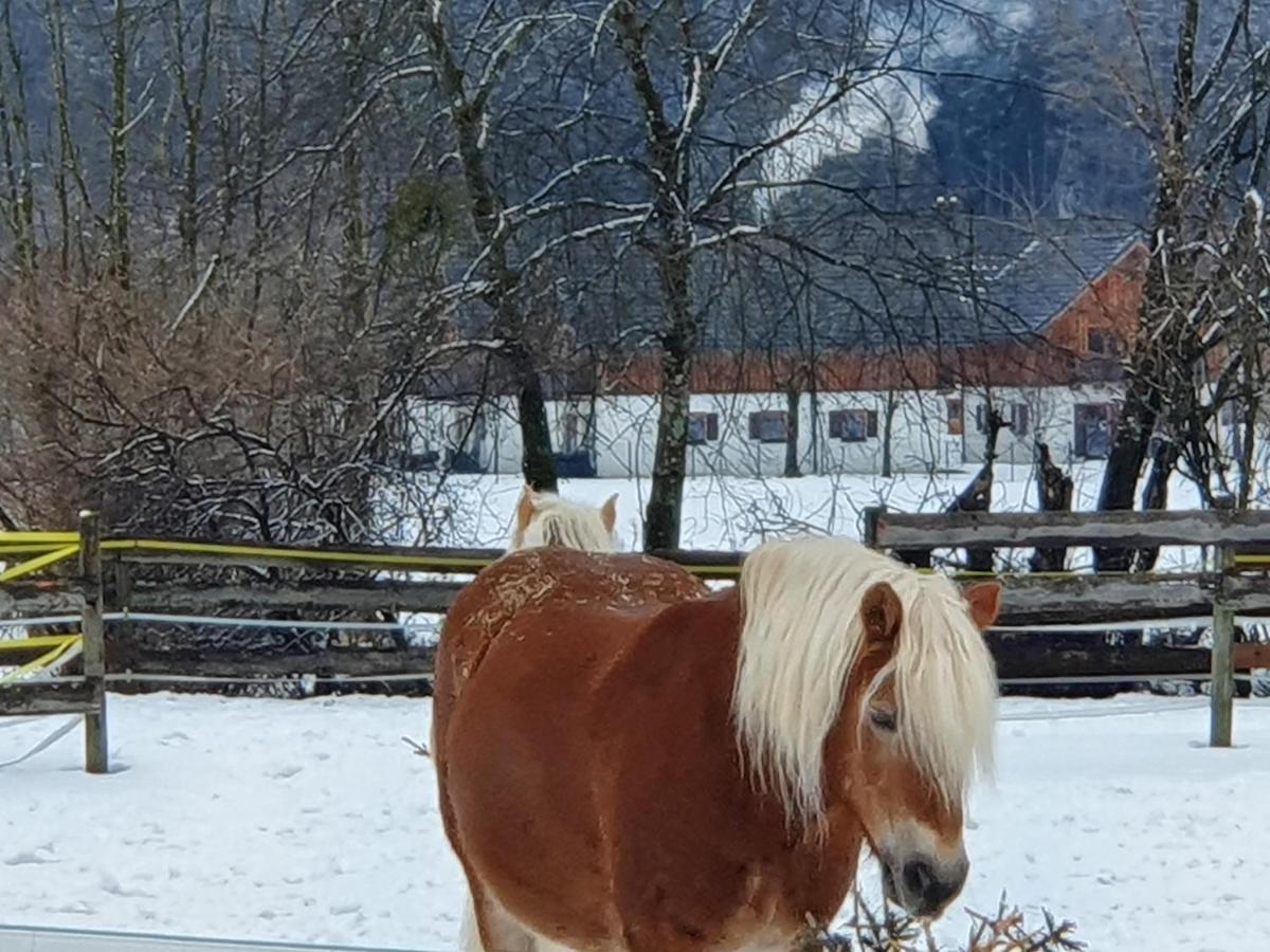 Haus Salzkammergut Obertraun Luaran gambar
