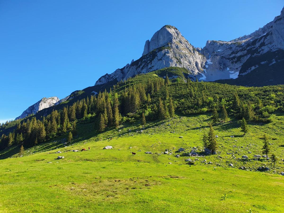 Haus Salzkammergut Obertraun Luaran gambar