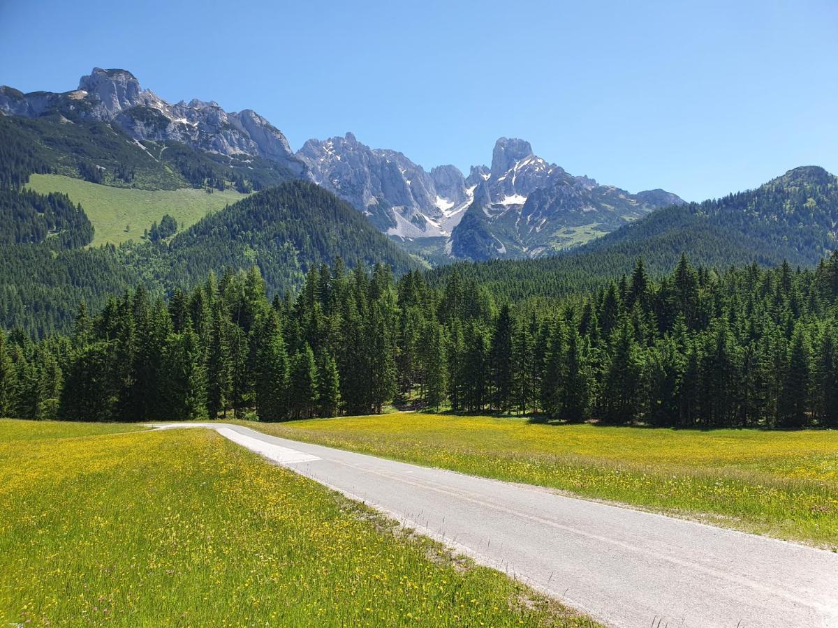 Haus Salzkammergut Obertraun Luaran gambar
