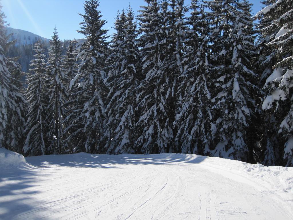 Haus Salzkammergut Obertraun Luaran gambar